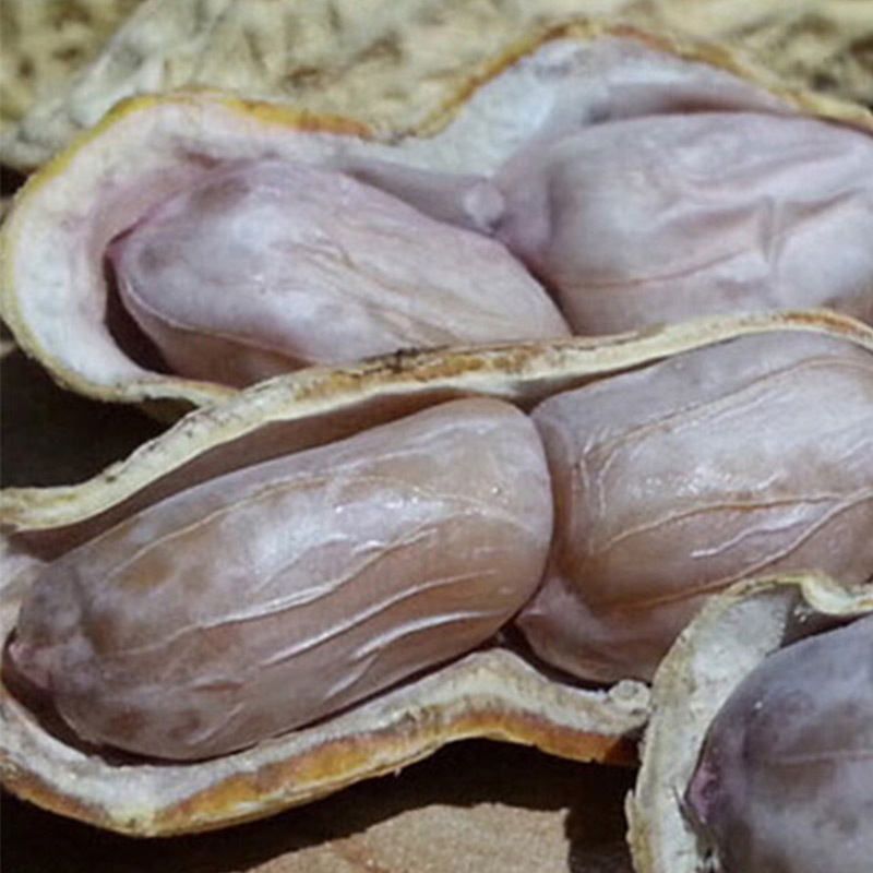 Longyan Shelled Boiled White Sun-Dried Garlic Five-Spice Crispy Peanuts 500g Per Bag Snack Nut Specialty Wholesale