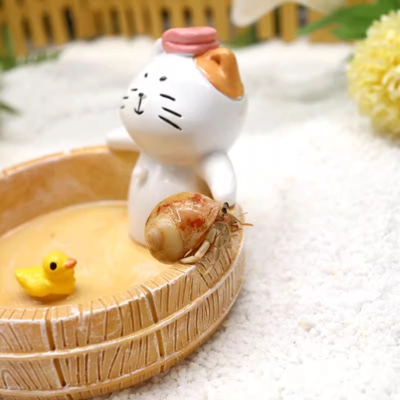 Hermit Crab Novice Package Feeding Box ~ Feeding Products Keeping with each other Crab suit Desktop Pet Gift for Children