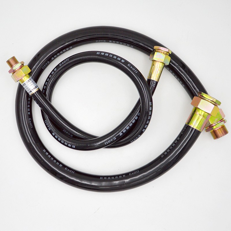 Explosion-Proof Flexible Pipe Bng Metal Connecting Pipe Dn15Dn20 4 Points 6 Points Threading Hose in Stock