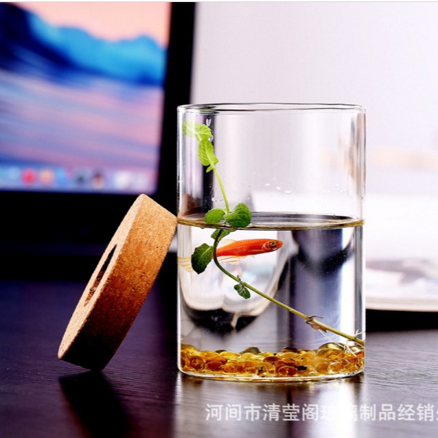 Straight tube with hole Straight tube fish bottle for sea urchin aquatic grass High Borosilicate glass tabletop micro landscape landscaping