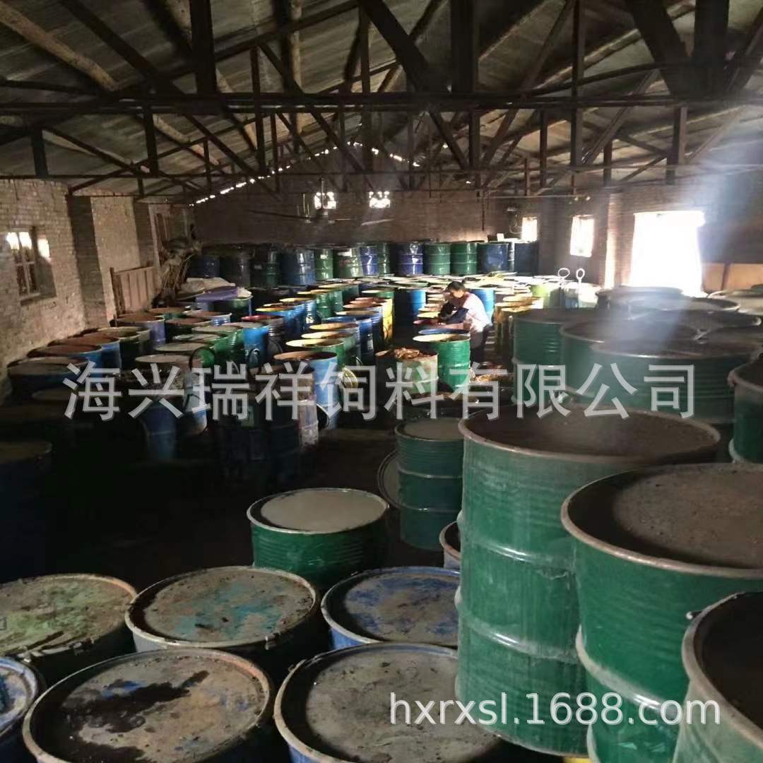 Squid Paste, Black Chicken Paste, Fishing Bait, Luofei Black Water Sauce, Small Potion, Fish, Shrimp and Crab Food Attractant, Squid Paste Wholesale