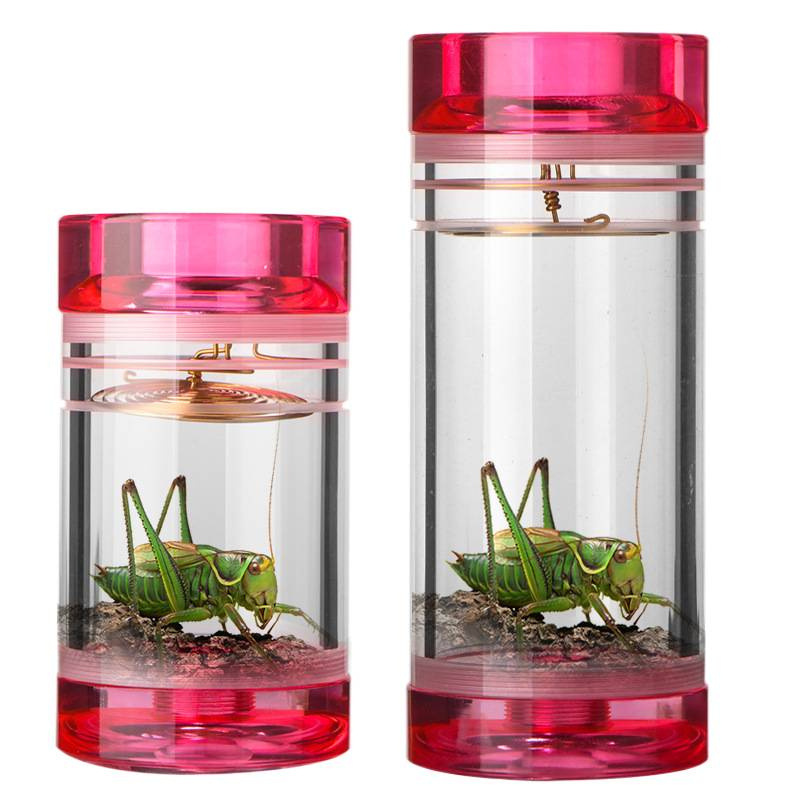 Cricket Tools, Cricket Cage, Bamboo Weaving, Bamboo-Made Exquisite Cricket Household Outdoor Kidsren's Multi-Functional Cricket Jar