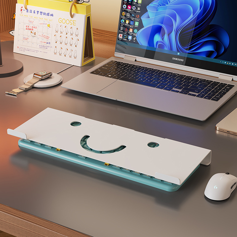 Laptop External Keyboard Stand Desktop Notebook Dustproof Writing Stand Computer Heightening Keyboard Storage Rack
