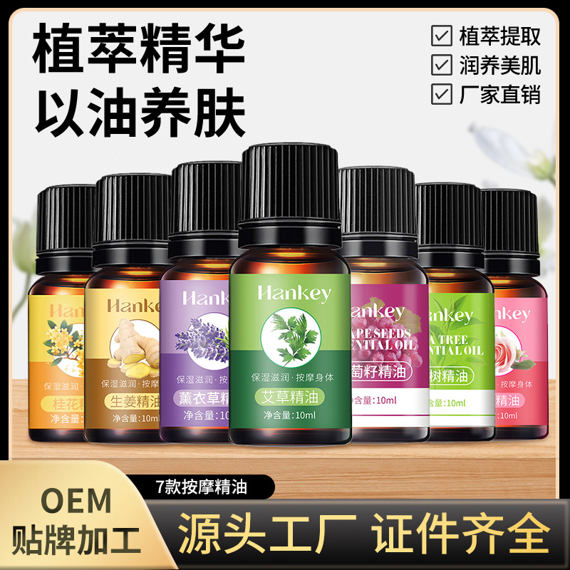 Mugwort Essential Oil Ginger Rose Massage Essential Oil Gua Sha Push Back Care Massage Tendon Spa Essential Oil Manufacturer Wholesale