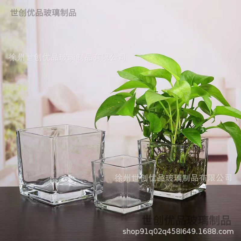 Simple Hydroponic Flower Pot Square Glass Fleshy Vase Transparent Green Flower Water Plant Utensil Turtle Tank Square Tank