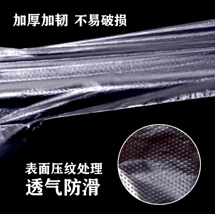 Independent Small Package Disposable Gloves Takeaway Catering Food Grade Commercial PE Lobster Chicken Pizza Plastic Transparent