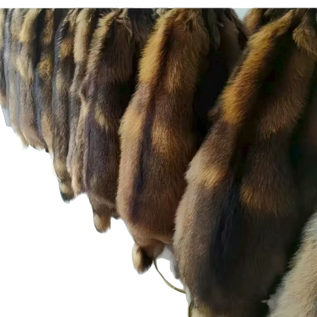 Raccoon Fur Whole Skin Manufacturer Direct Supply Original Color Whole Skin Raccoon Hat Collar Fur Strip Raccoon Skin Cushion Seat Cushion