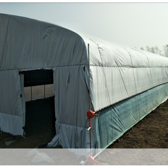 New Greenhouse Film Thickened Black and White Green Film Culture Film Waterproof Cooling Heat Insulation Shading Silage Film Edible