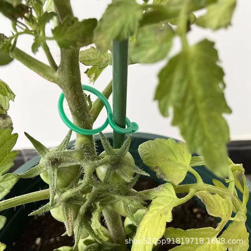 Multifunctional Gardening Eight-Character Buckle Planting Vine Fixed Clip Climbing Plant Stem Support Garden Tool Eight-Character Buckle