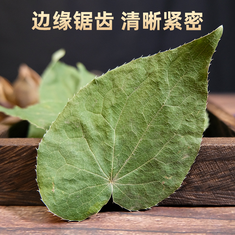 Changbai Mountain Whole Wild Epimedium 500g Round Leaf Male Nourishing Three-Branch Nine-Leaf Grass Manufacturer Wholesale Chinese Herbal Medicine
