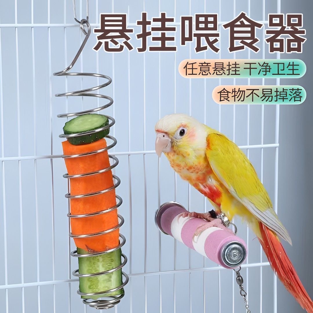 Spiral Pet Feeding Utensils for Parrots, Black Phoenix, Tiger Skin Birds, Fruit Forks, Vegetable Bird Feeders, Hanging Feeding