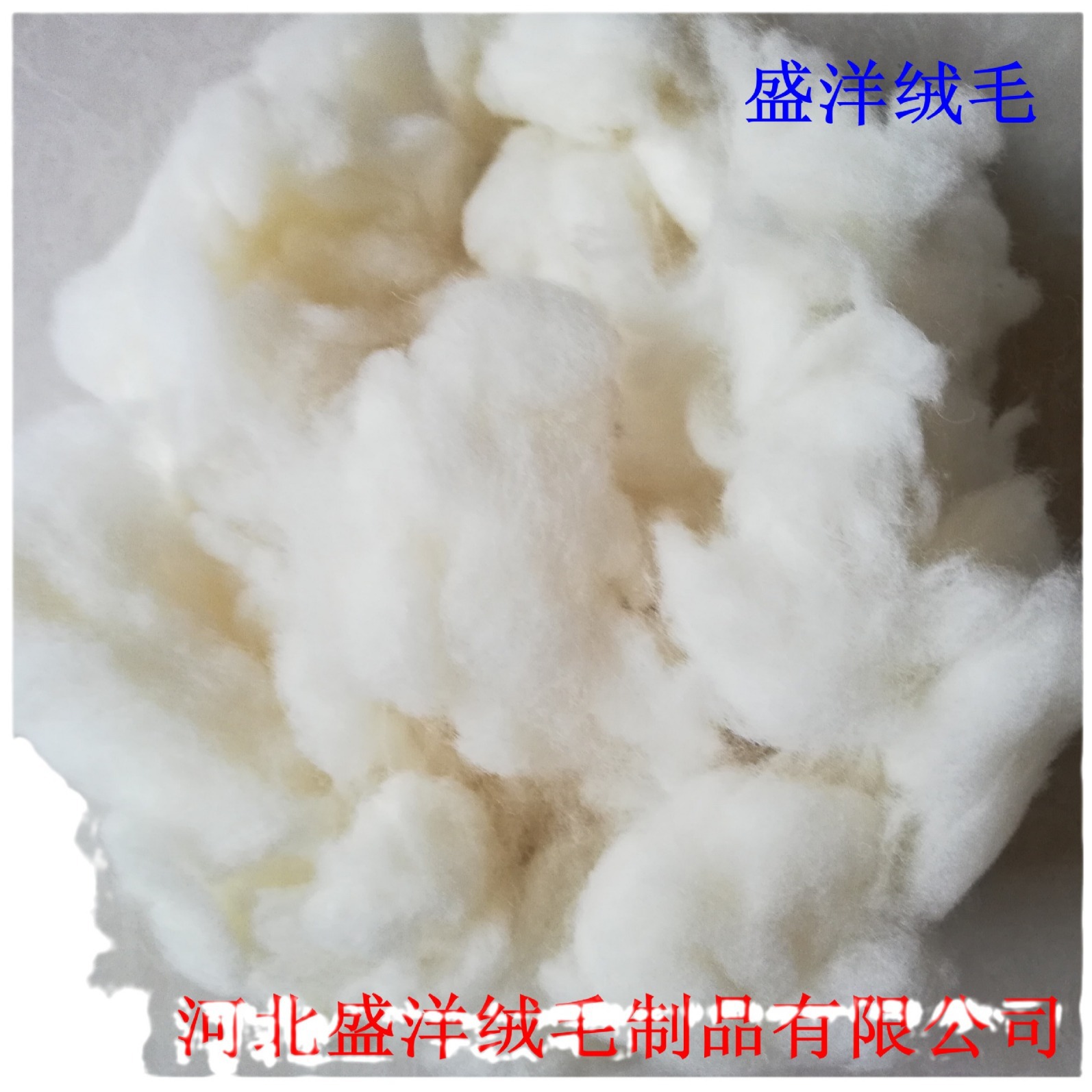 Factory wholesale wool degreased british wool filling wool clean no odor wool raw material