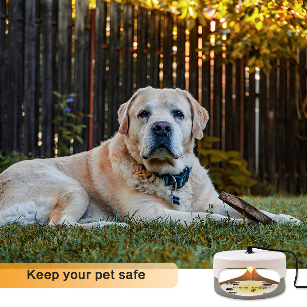 round-shaped flea trap household sticky paper flea trap lamp flea trap lamp