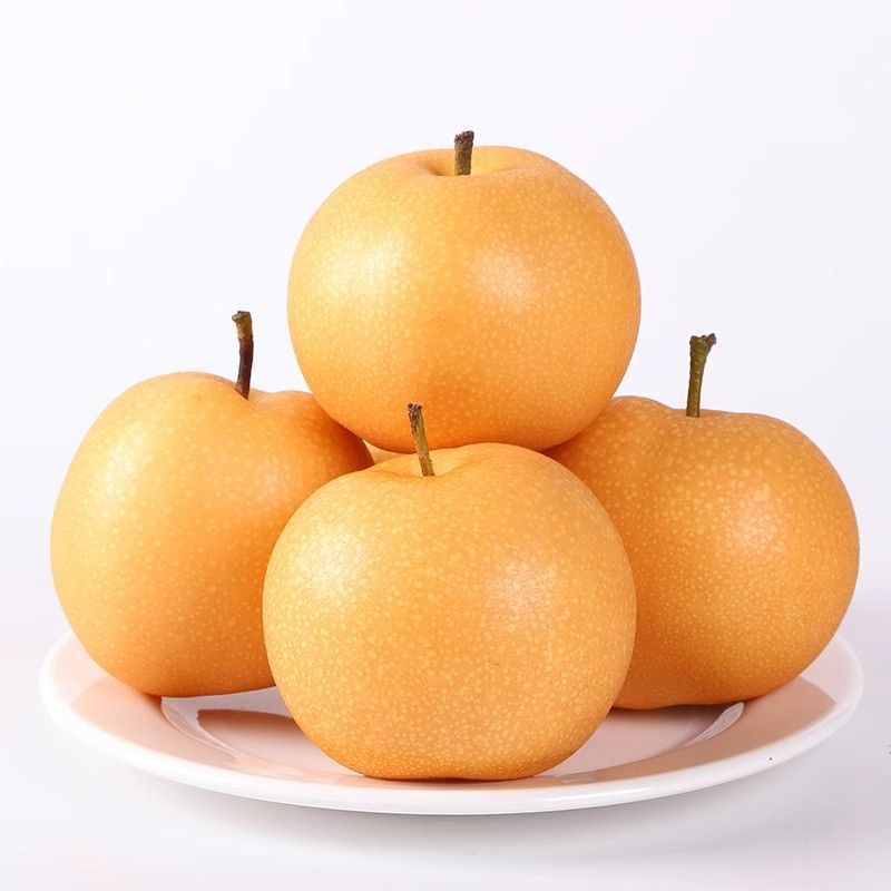 Shandong Nanshui Pears, Freshly Picked Seasonal Fruits, Direct from the Place of Origin, Yantai Specialty Large Fruit, Crispy, Sweet and Juicy Pears 5