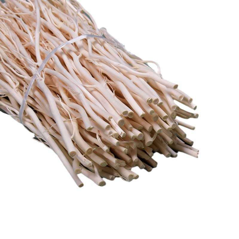 Supply of High-Quality Indonesian Rattan/Long Willow Volatile Sticks, Natural Willow Branches, Aromatherapy Volatile Branches, Dragon Willow