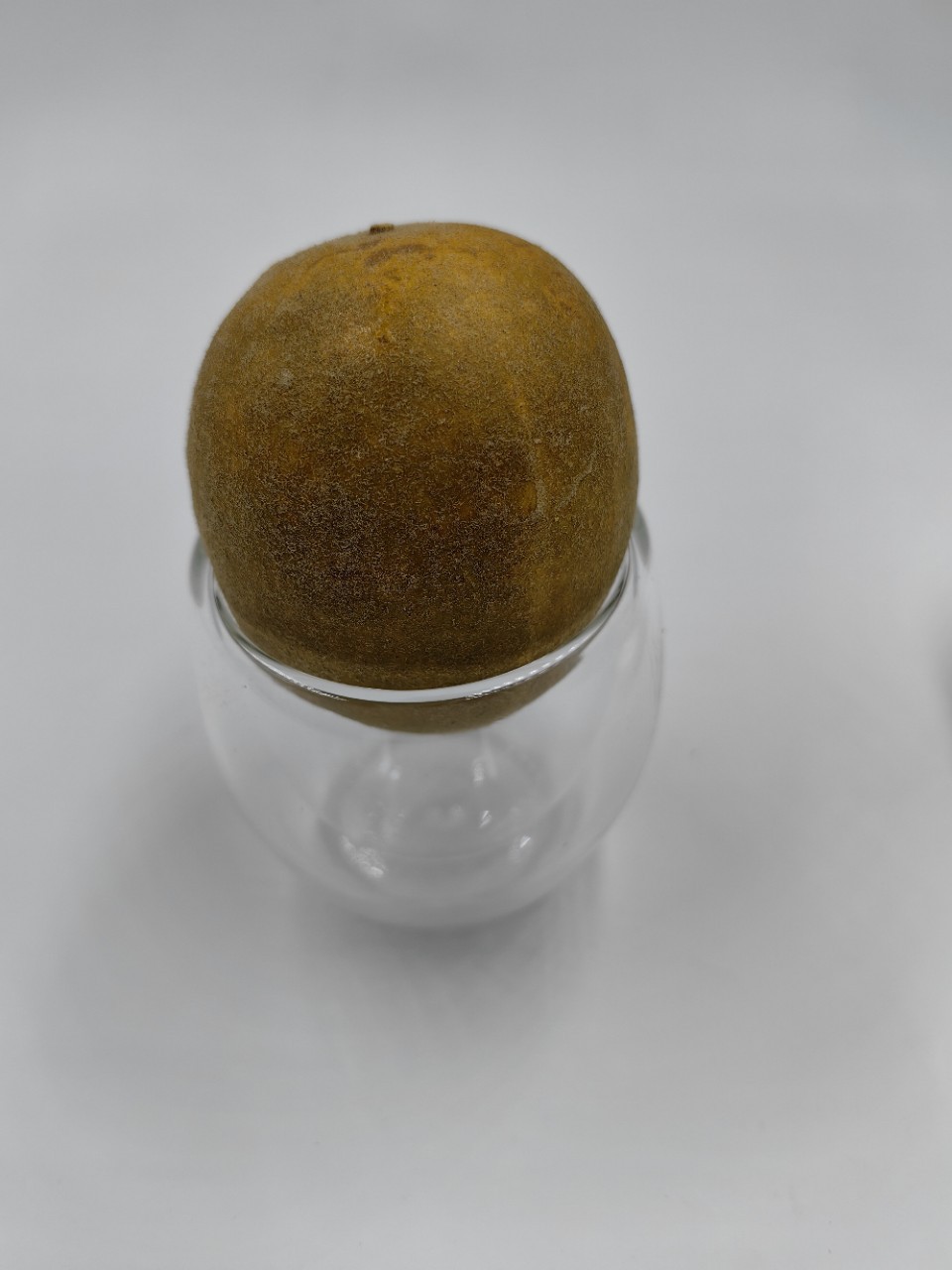 Guangxi Siraitia grosvenorii manufacturers wholesale vacuum dehydrated Siraitia grosvenorii