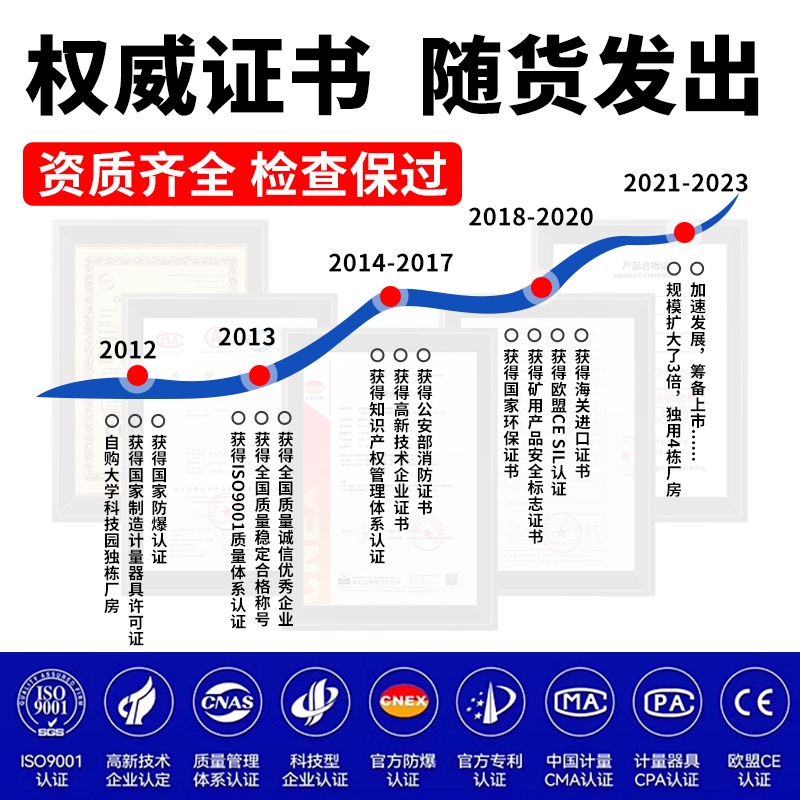 Chlorine Gas Detector Pump Portable Limited Space Electroplating Factory Spray Workshop Concentration Detection Alarm