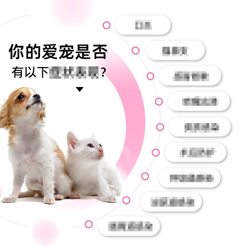 New Favorite Kang Amoxicillin Clavulanate Potassium Pet Medicine Cats and Dogs Cold Cough Respiratory Tract Urinary Tract