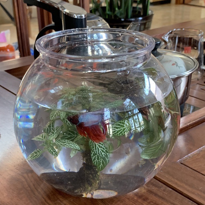 Spot Small Round Fish Tank Household Desktop Goldfish Tank Plastic Landscape Ecological Tank Transparent Anti-Fall Fish Tank Wholesale