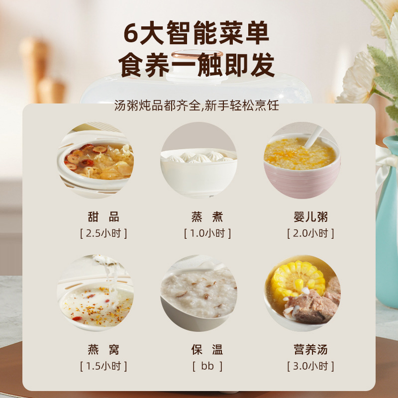 Sast Electric Stew Pot for Home Use, Ceramic, Fully Automatic, Intelligent Bird's Nest Pot, 1L, Small Water-Separating Gift Wholesale Health Pot