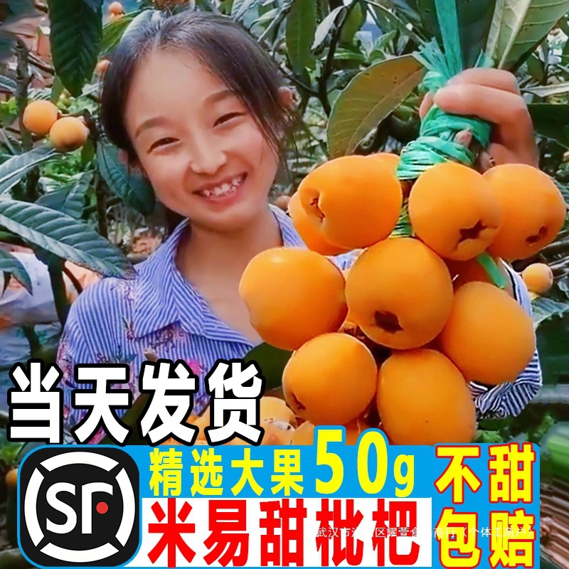 Свежий крупный фрукт лонгана из Мийи, Паньчжихуа, Сычуань