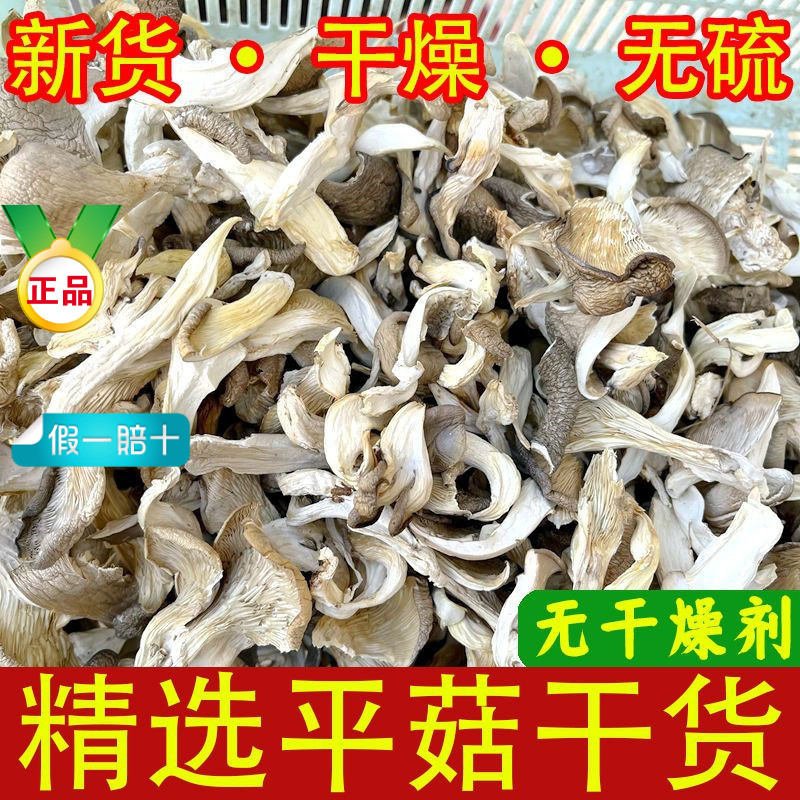 Новинка без осушителя, сушеные грибы устриц 500г, сушеные грибы, белые грибы, полоски сушеных грибов устриц, грибы не фенциу