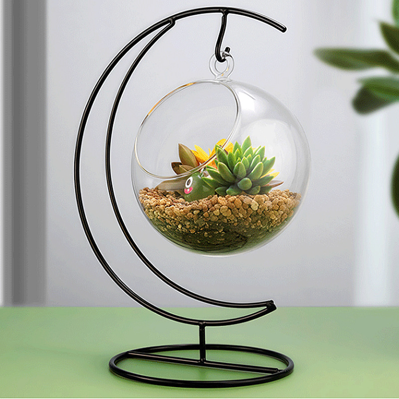 Micro-Landscape Ecological Bottle DIY Plant Landscaping Bottle Transparent Glass Vase Creative Moss Succulent Plant Hanging Bottle