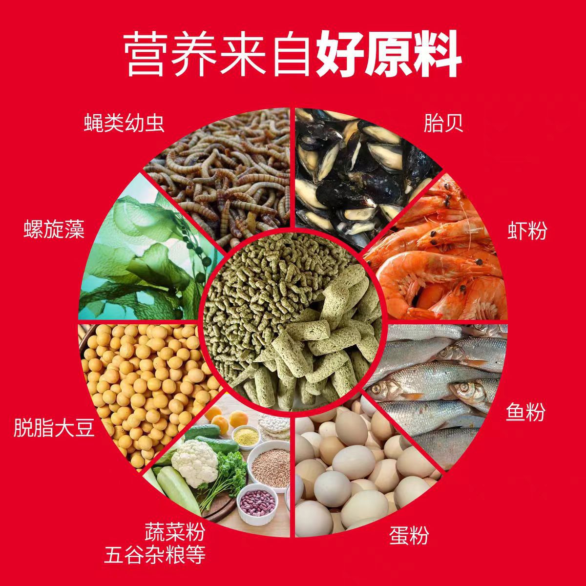 25 Years New Turtle Food Amphibian Reptile Improves Immunity Calcium Supplement High Protein Turtle Food Turtle Feed