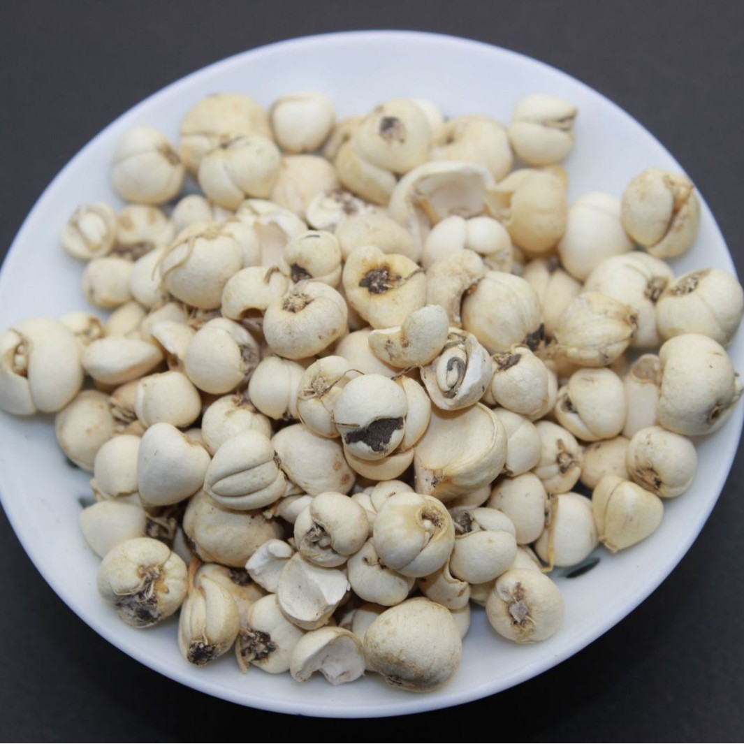 Qingchuan Fritillary Wild Aba Fritillary Pure Wild Picked Pine Fritillary Directly Sold from Origin 100g