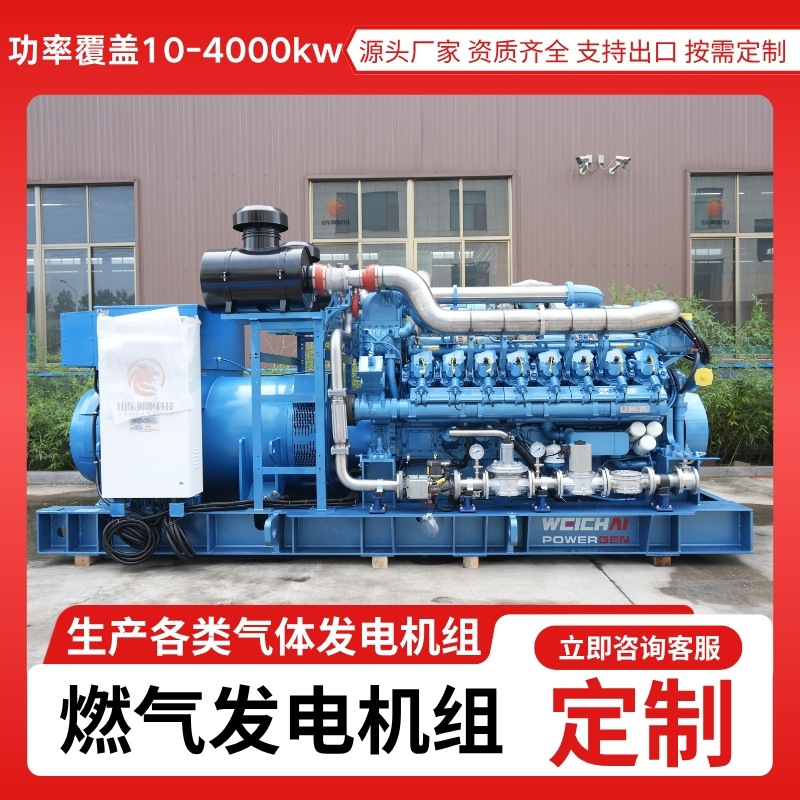 Генераторная установка на газ 10-4000 кВт для крупных электростанций природного газа биогаза нефтяных месторождений