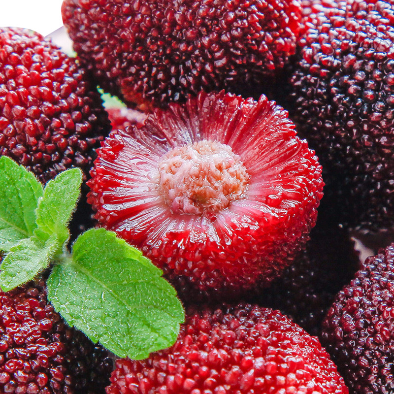 Sf Free Shipping Fujian Ready-To-Eat Snacks Ice Bayberry 50g Quick-Frozen Frozen Ice Bayberry Individually Packaged