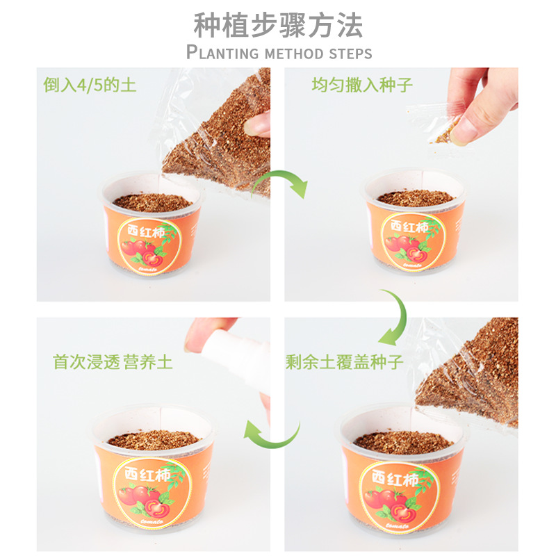 Qiaoqiao Cup Small Potted Kidsren's Handmade Toys Observation and Planting Hydroponic Creative Student Desktop Bonsai Green Plants