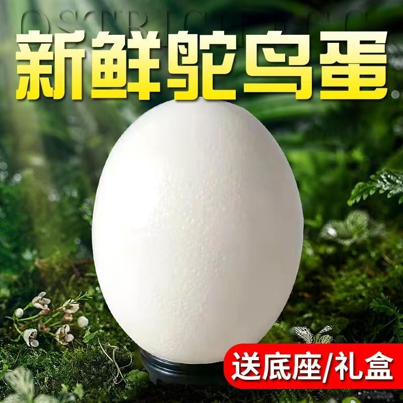 Подарочный набор свежих страусиных яиц, экстра-большие африканские страусиные яйца, съедобные яйца эму, свежие экстра-большие яйца