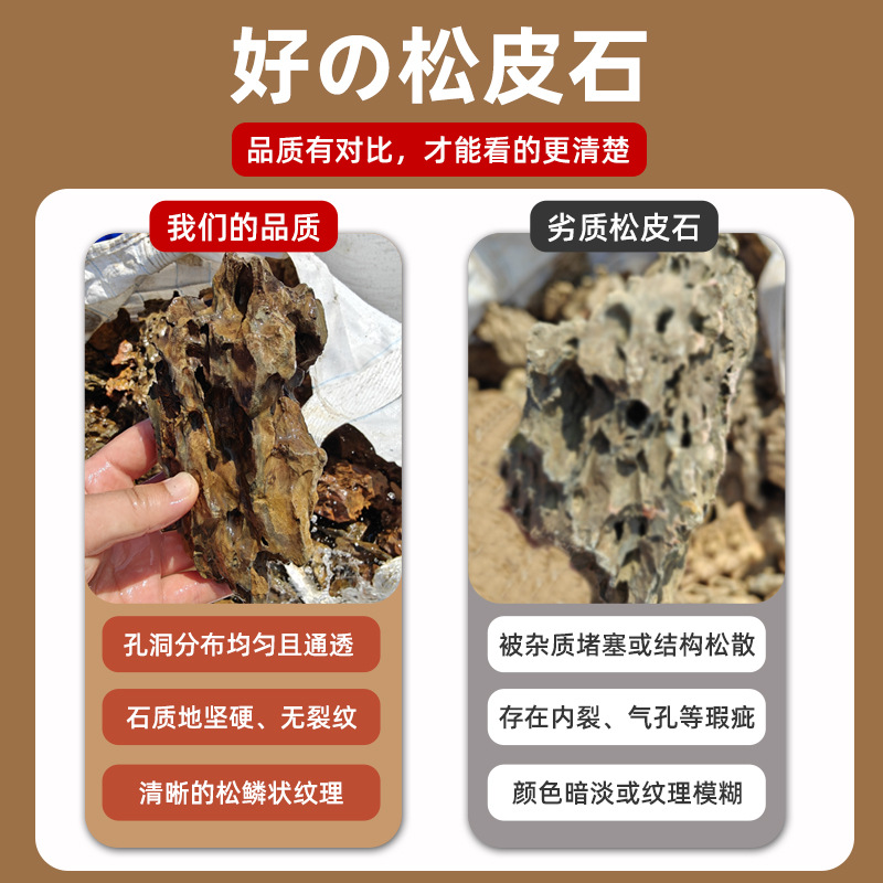 Natural Raw Stone Skeleton-Sized Combination Fish Tank Aquascape Micro-Landscape Natural Landscaping Finished Product Pine Bark Stone Colored Stone