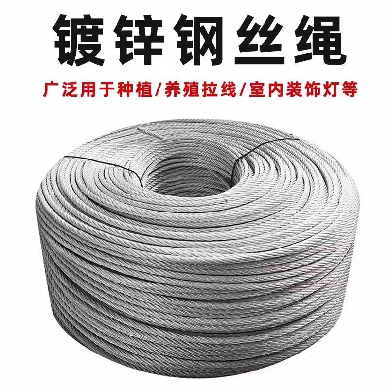 Galvanized Steel Wire Rope Construction Site Safety Rope Life Line Non-Plastic Coated Thin Wind Rope Greenhouse Grape Rack Tension Rope