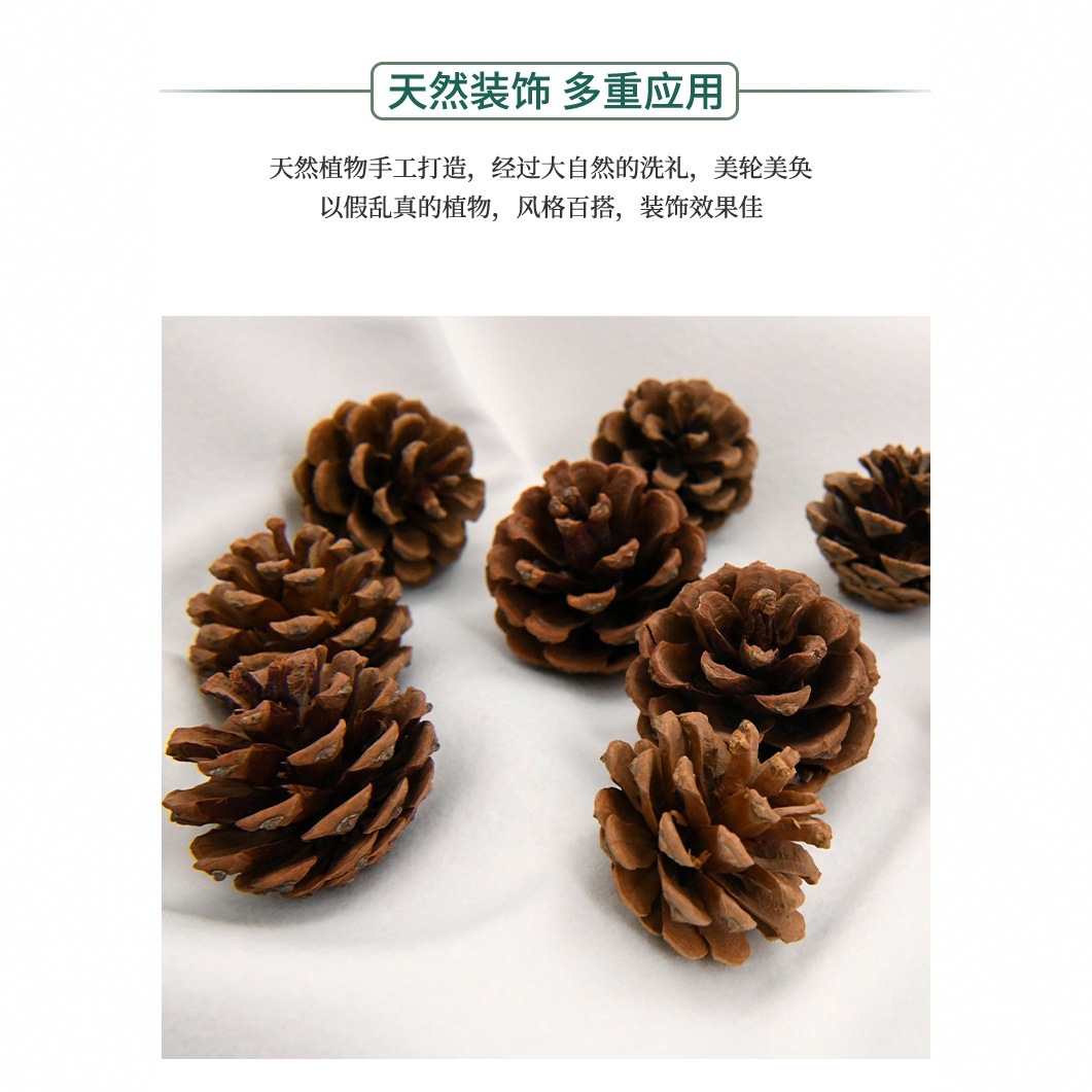 Hanging Line Pinecone North Local Pinecone Pinecone Pinecone 3-7cm Pastoral Style Decoration Ornamental Dried Original Color Pinecone Pinecone