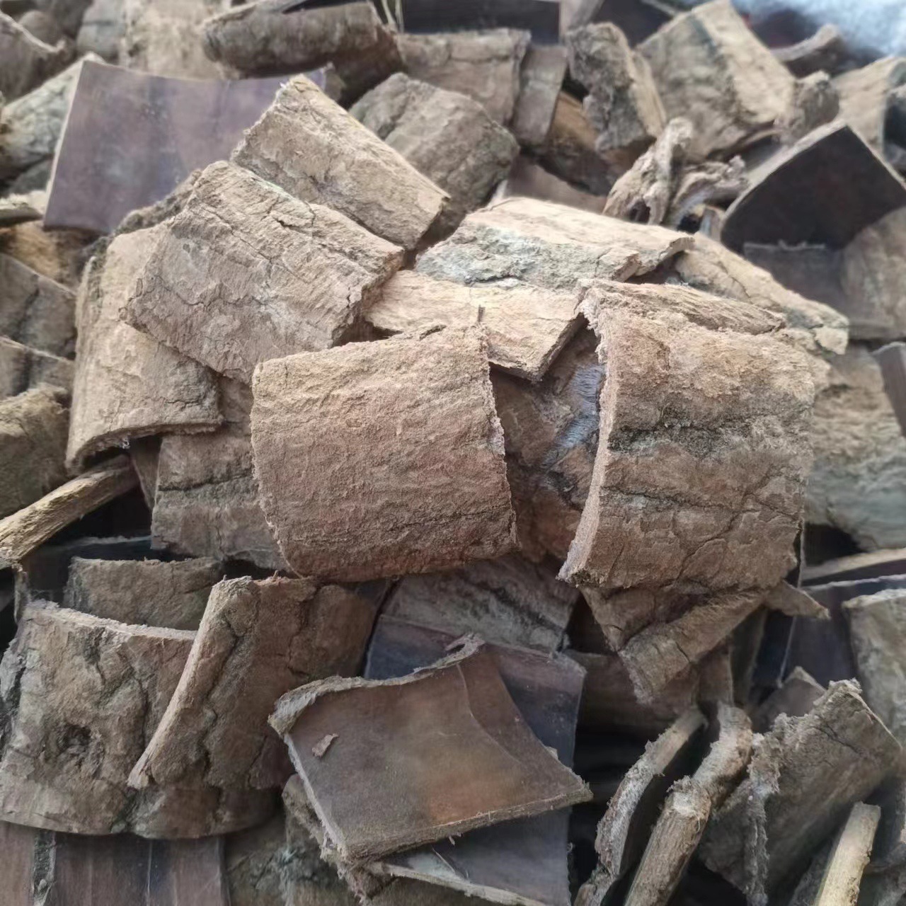 Anguo Spot Wholesale and Retail New Arrivals of Eucommia Ulmoides, Scraped Eucommia Ulmoides, Old Bark Eucommia Ulmoides, Various Specifications and Large Discounts
