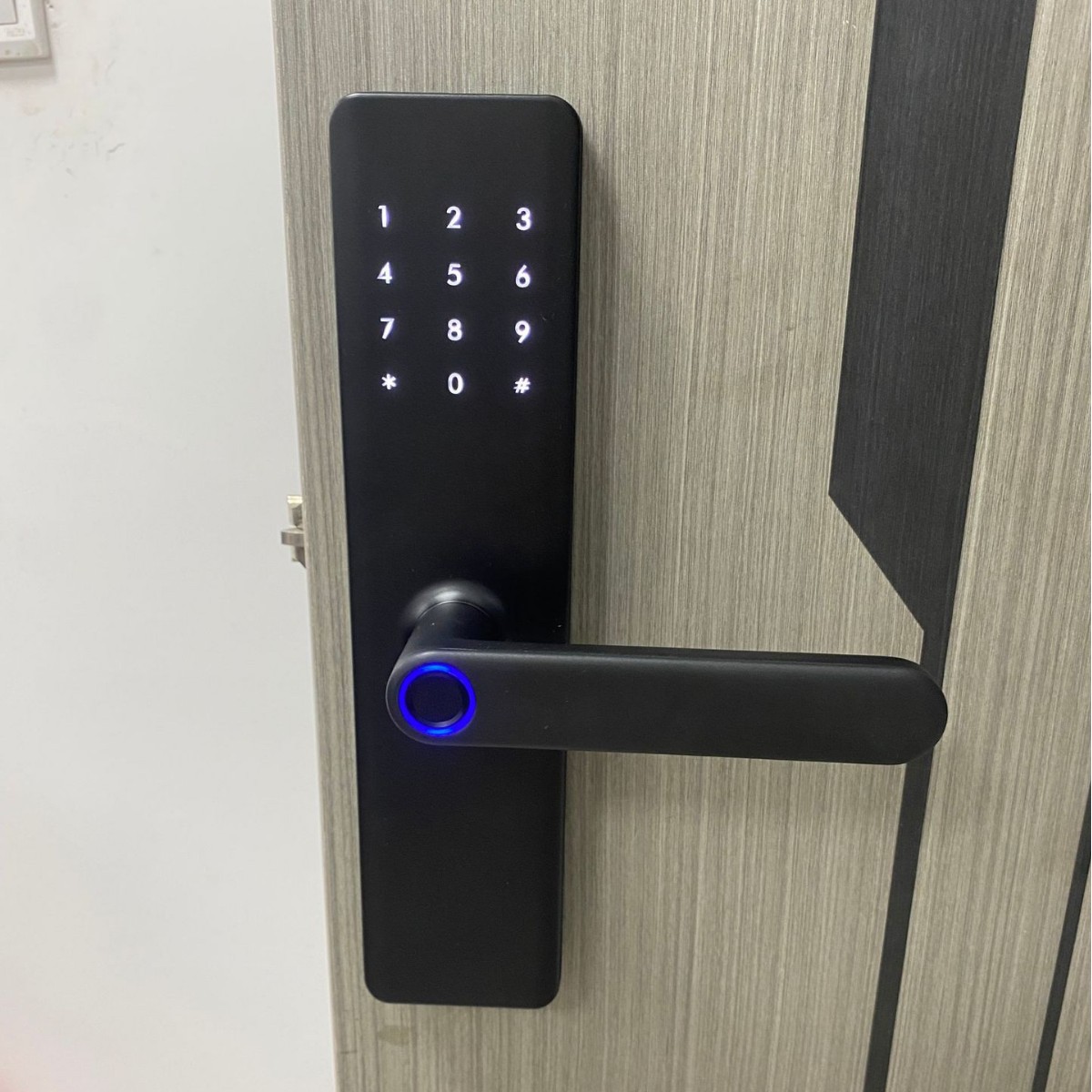 Ttlock Smart Bluetooth Wifi Password Fingerprint Lock for Hotel, Apartment, Homestay, and Rental Room