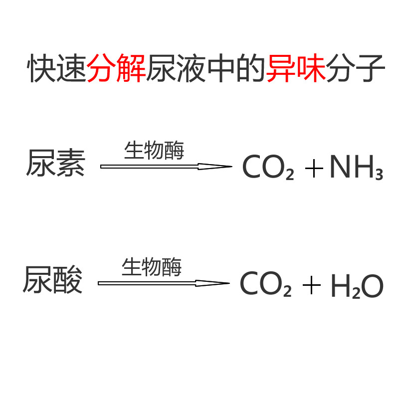 Zhongkang Biological Enzyme Deodorant Highly Concentrated Highly Dilution Pet Cat and Dog Urine Odor Quickly Decomposes and Removes Odor