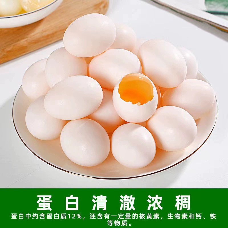 Yimengshan Fresh Pigeon Eggs 30 Pieces over 570g Pure Grain Free-Range Pigeon Eggs Pregnant Women Baby Food Supplement Sf Package