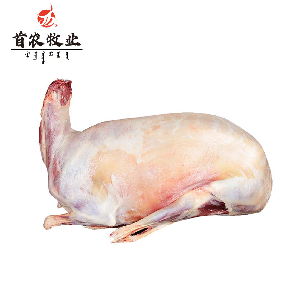 Jingxilin Grassland Sunite Lamb Bbq Ingredients Source Fresh Lamb Lamb Skewers Ximeng Lamb