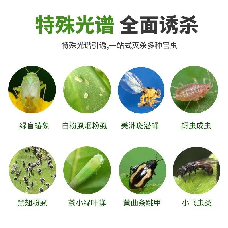 Yellow Sticky Trap Board Double-Sided for Greenhouse Orchard Home Use Insect Trap Board Blue Insect Trap Board Sticky Trap Board Blue Board Thrips Sticker