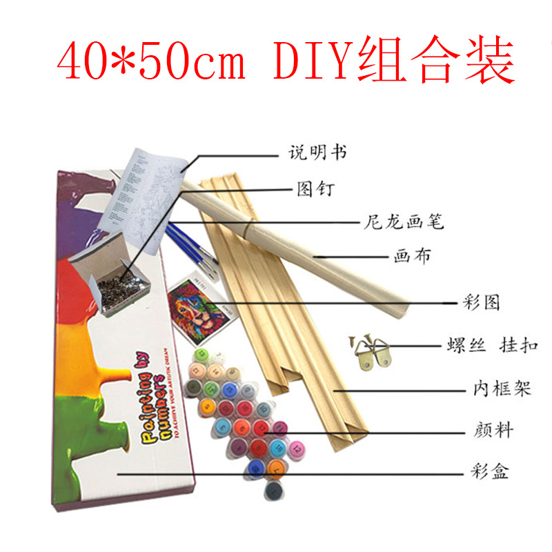 Foreign trade Christmas Santa Claus diy digital oil painting factory direct hand painted coloring bedroom living room decorative painting