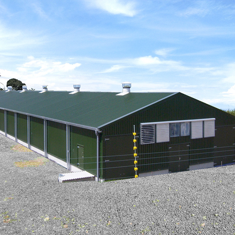 Steel Structure chicken coop export production prefabricated agricultural poultry steel structure House is cheap chicken coop
