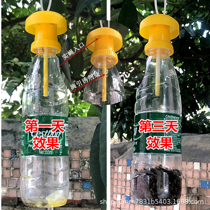 Wholesale Fruit fly trap cover with fruit fly lure use fruit fruit fly pheromone needle trap