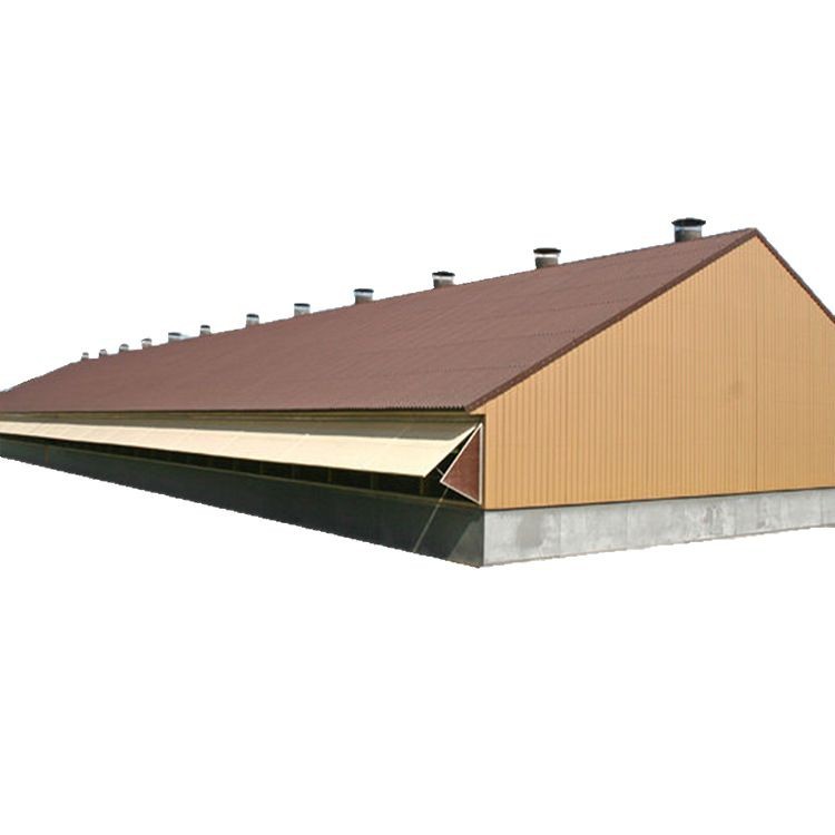 Steel Structure chicken coop export production steel structure chicken coop, chicken coop with chicken coop equipment steel structure chicken coop