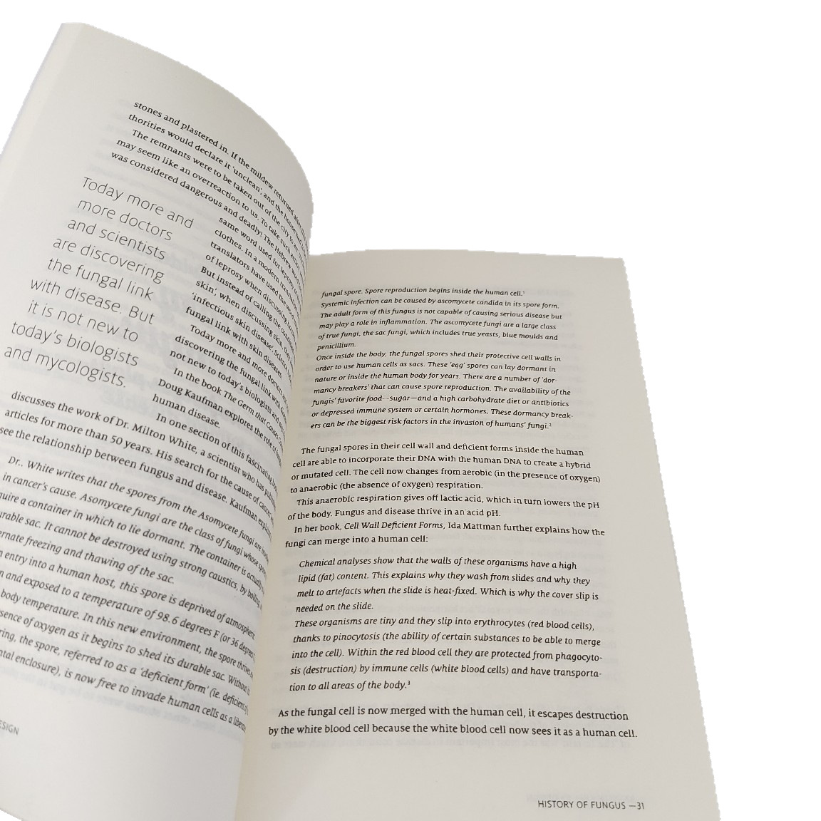 Cross-Border Self Heal by Design Self Healing Text Inspiration Handbook English Version