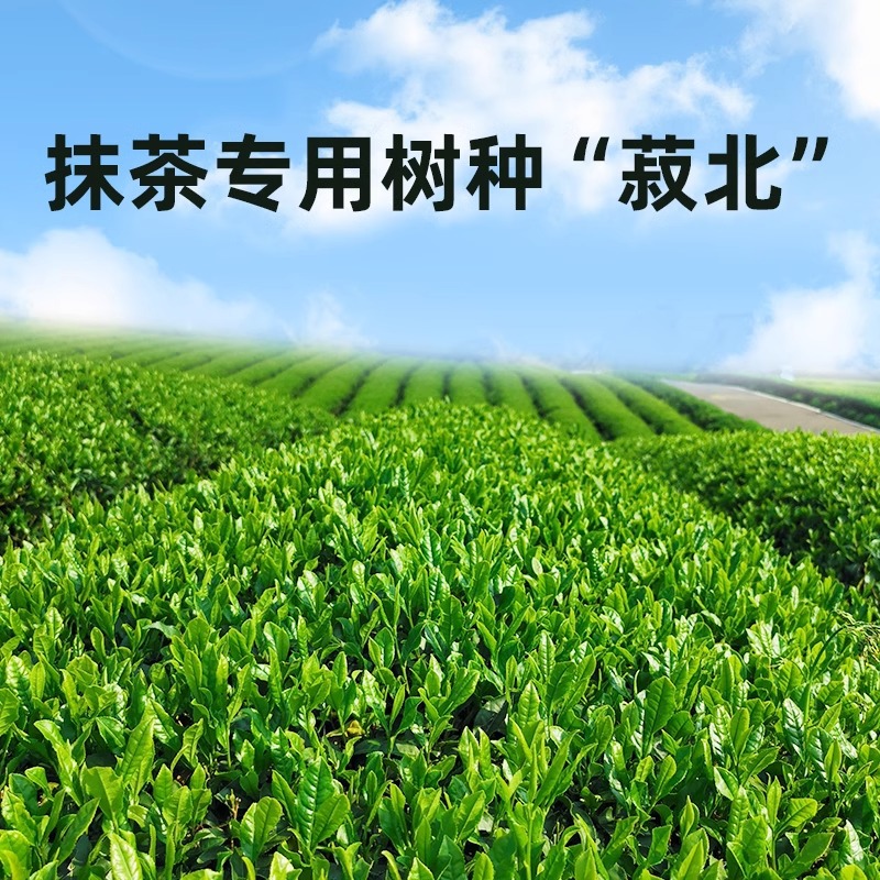 Qinggxi Matcha Beast Tea Tree Qinggxi Isuzu White Lotus Qinglan Ruozhu Matcha Powder Dessert Baking 50g