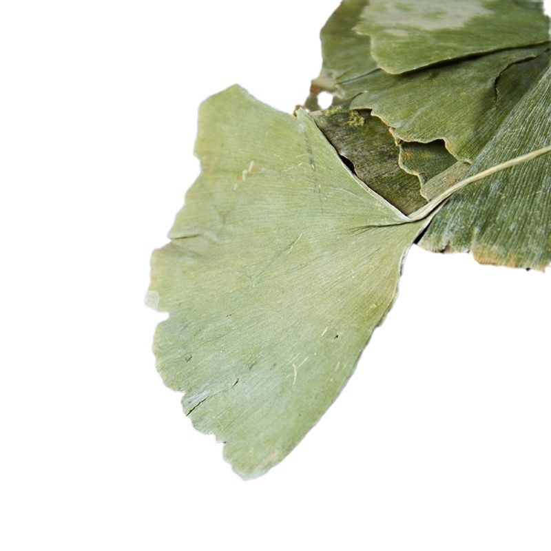 Ginkgo Leaf Tea, Dried Ginkgo Leaves, Premium Quality, Authentic Chinese Herbal Medicine Store, Pre-Packaged Chinese Herbal Medicine, Others