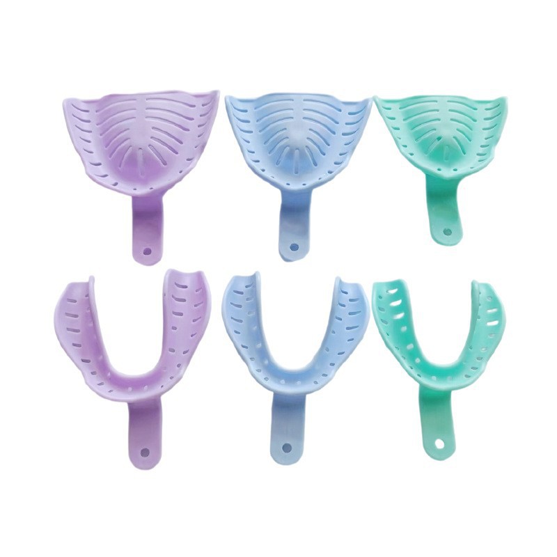 Cross-Border Wholesale Dental Trays, Disposable Impression Trays, Adult Plastic Dental Trays, Complete Models of Dental Materials